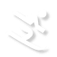 skiier
