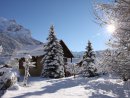 winter sun in snowy garden