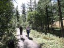 forest walk narreyroux