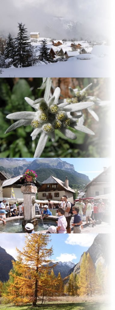 alpine seasons